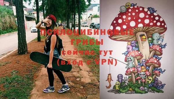 PSILOCYBIN Алексин