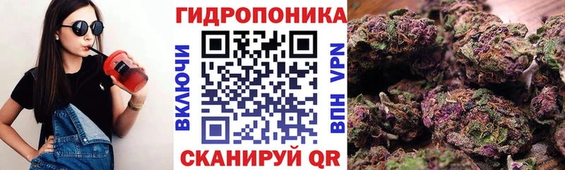 Конопля SATIVA & INDICA  цена наркотик  Славск 